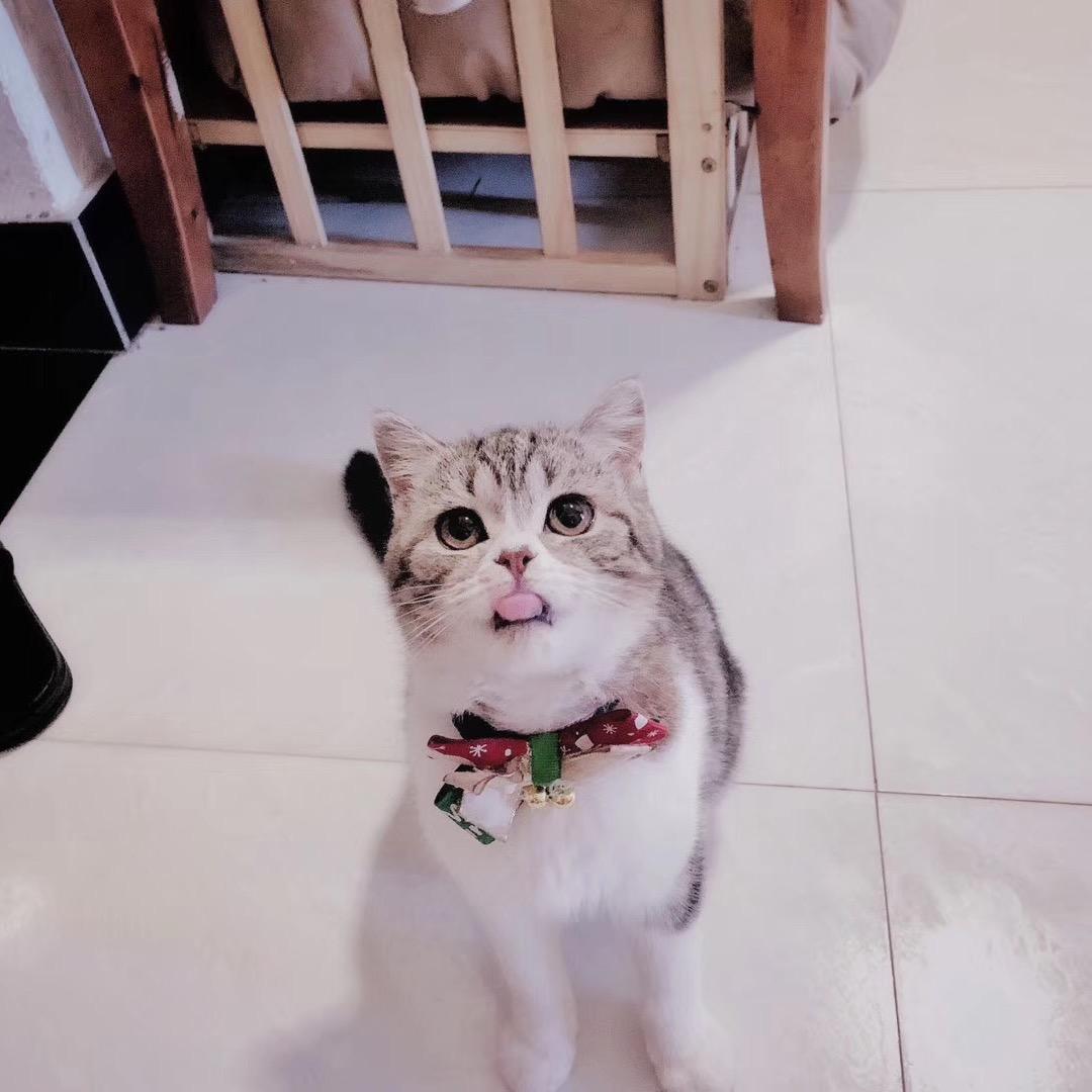 美好阳光