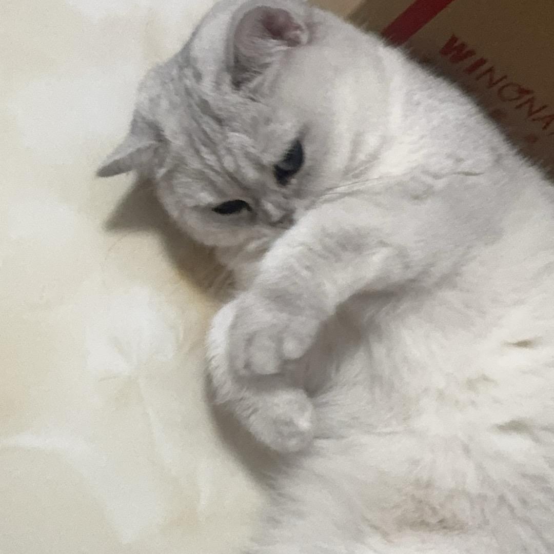 陈大同
