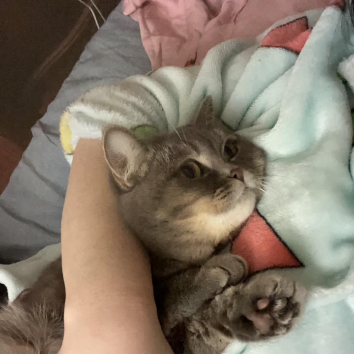 蹦恰恰