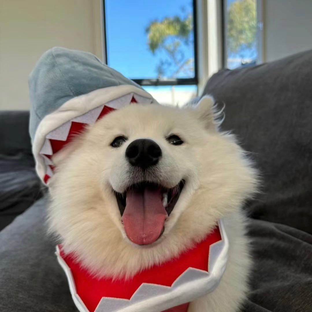 憙