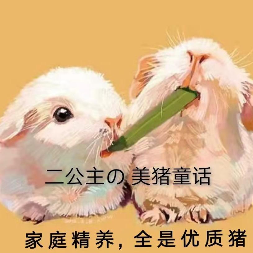 二公主的萌宠乐园