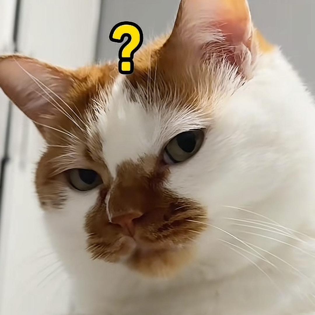 幸福比玩音响贵🚬