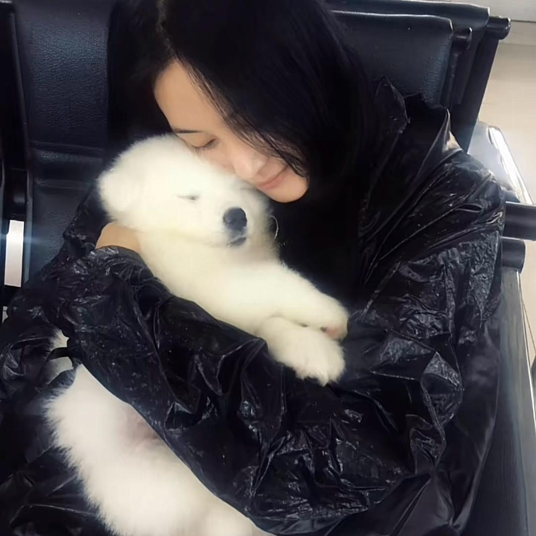 我迪迦在东北