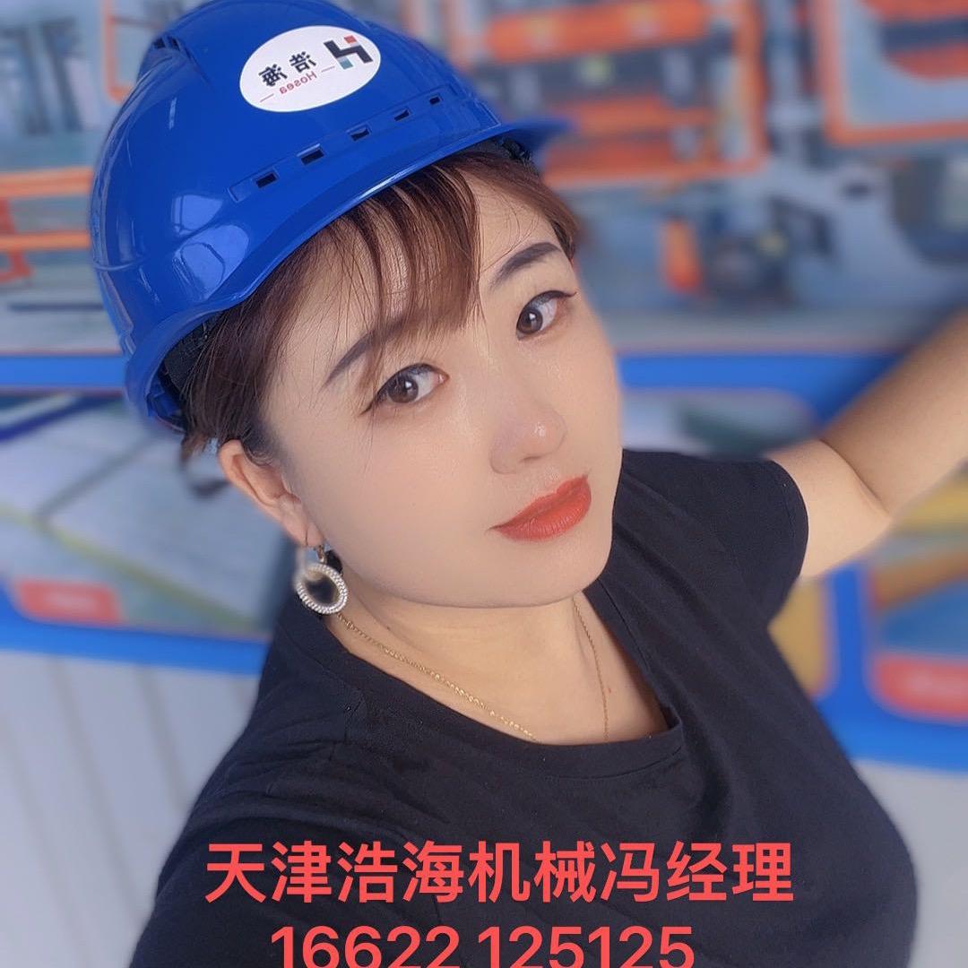 天津浩海砖机有限公司