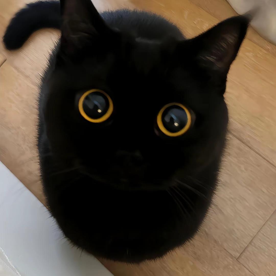 hhui