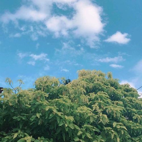 轩宝（民间故事）