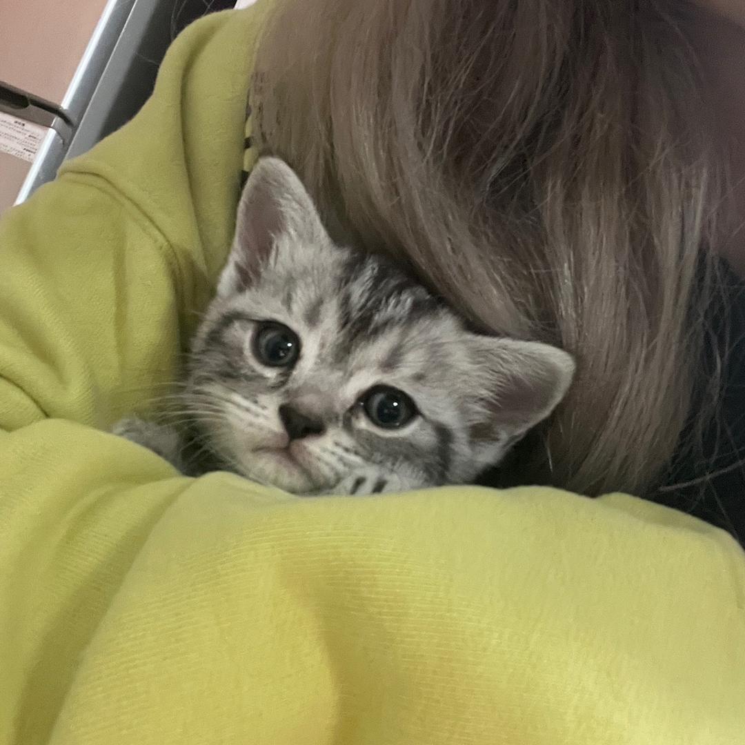 十五妈🐈