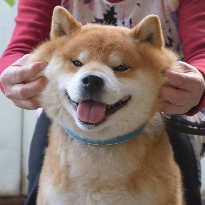 爱吃螺蛳粉