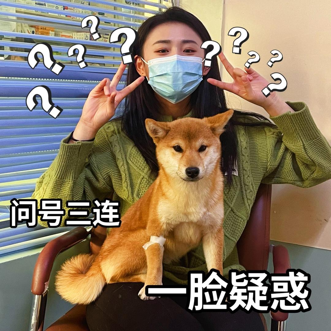 董大高个