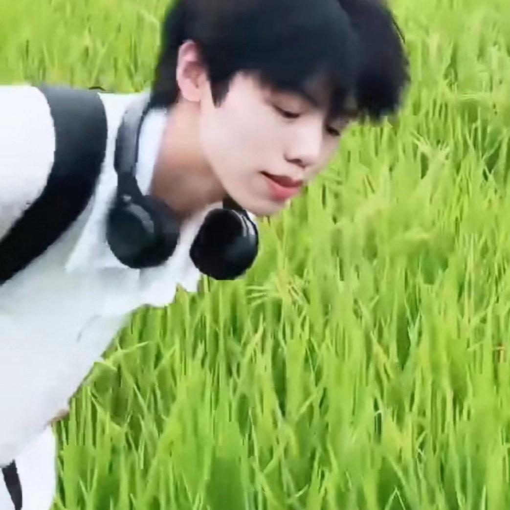 木（三角洲行动）