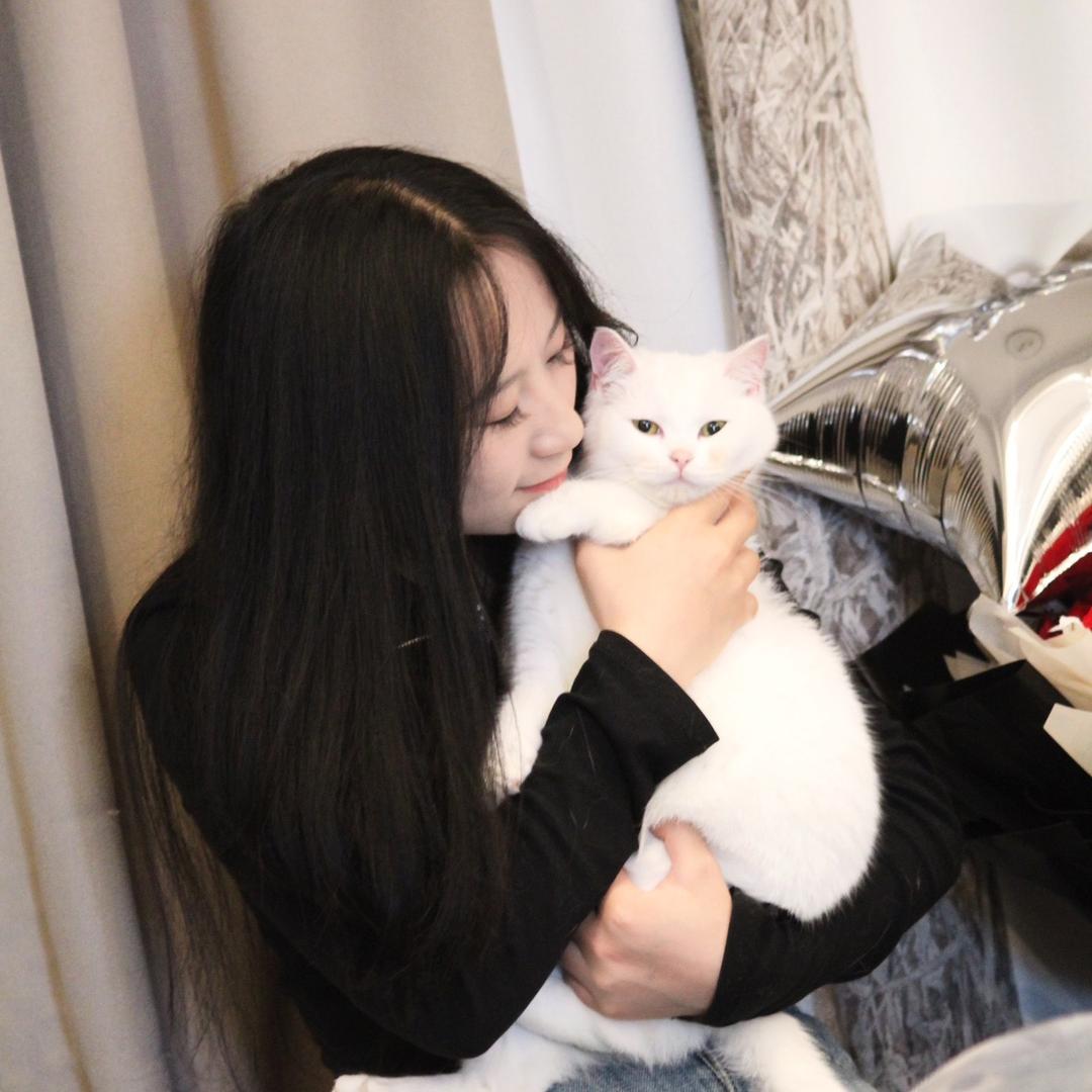 伊个哒不刘🕊️