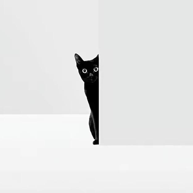 ·