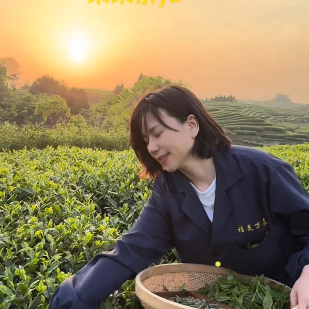 嘉灵有好茶