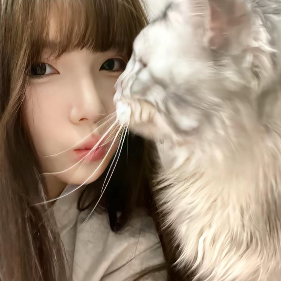 只想睡觉13.