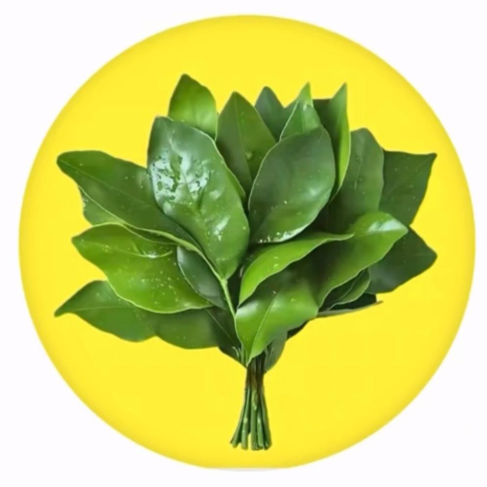 ༺🌻眞兒🌻༻