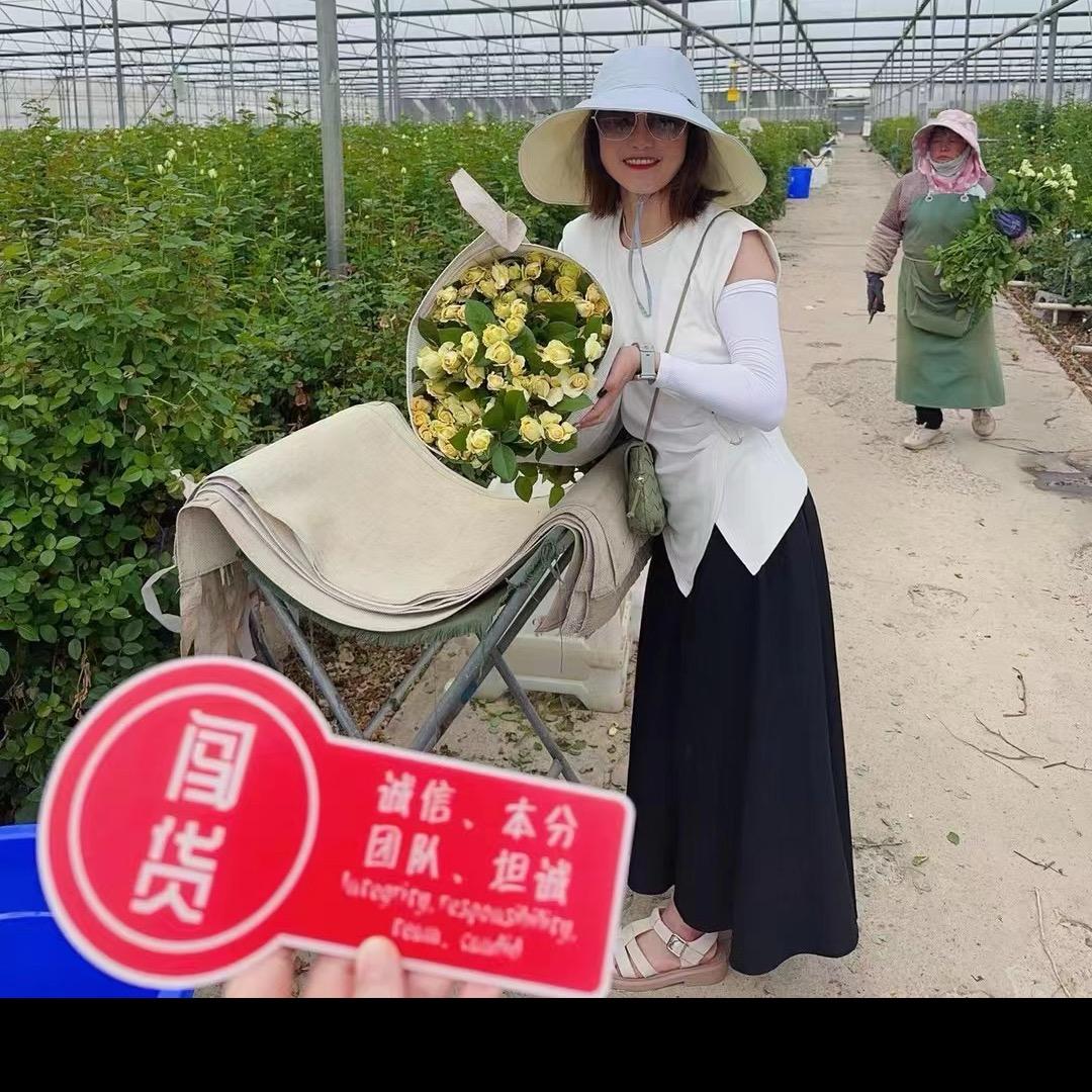 英姿的宝藏好物