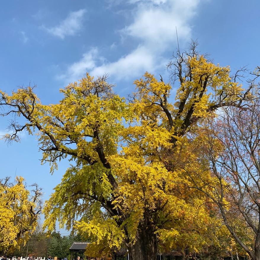 🌈去有风的地方