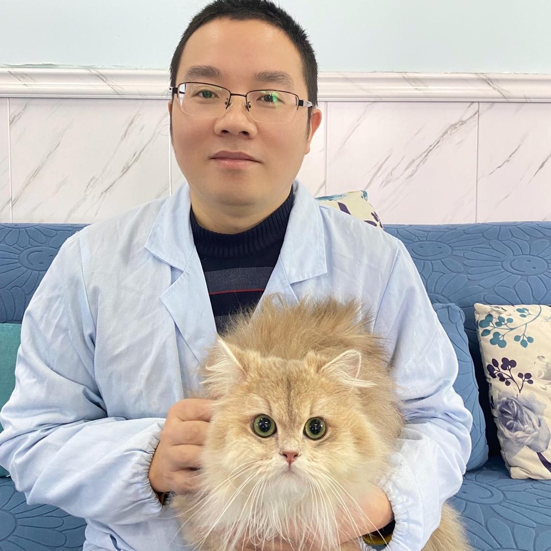 宠物医生龙开伟