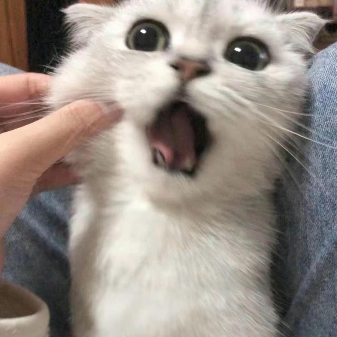 小新.