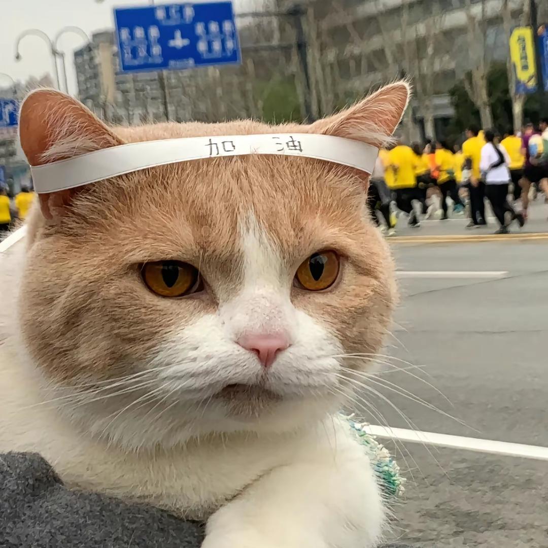 55没有🐈