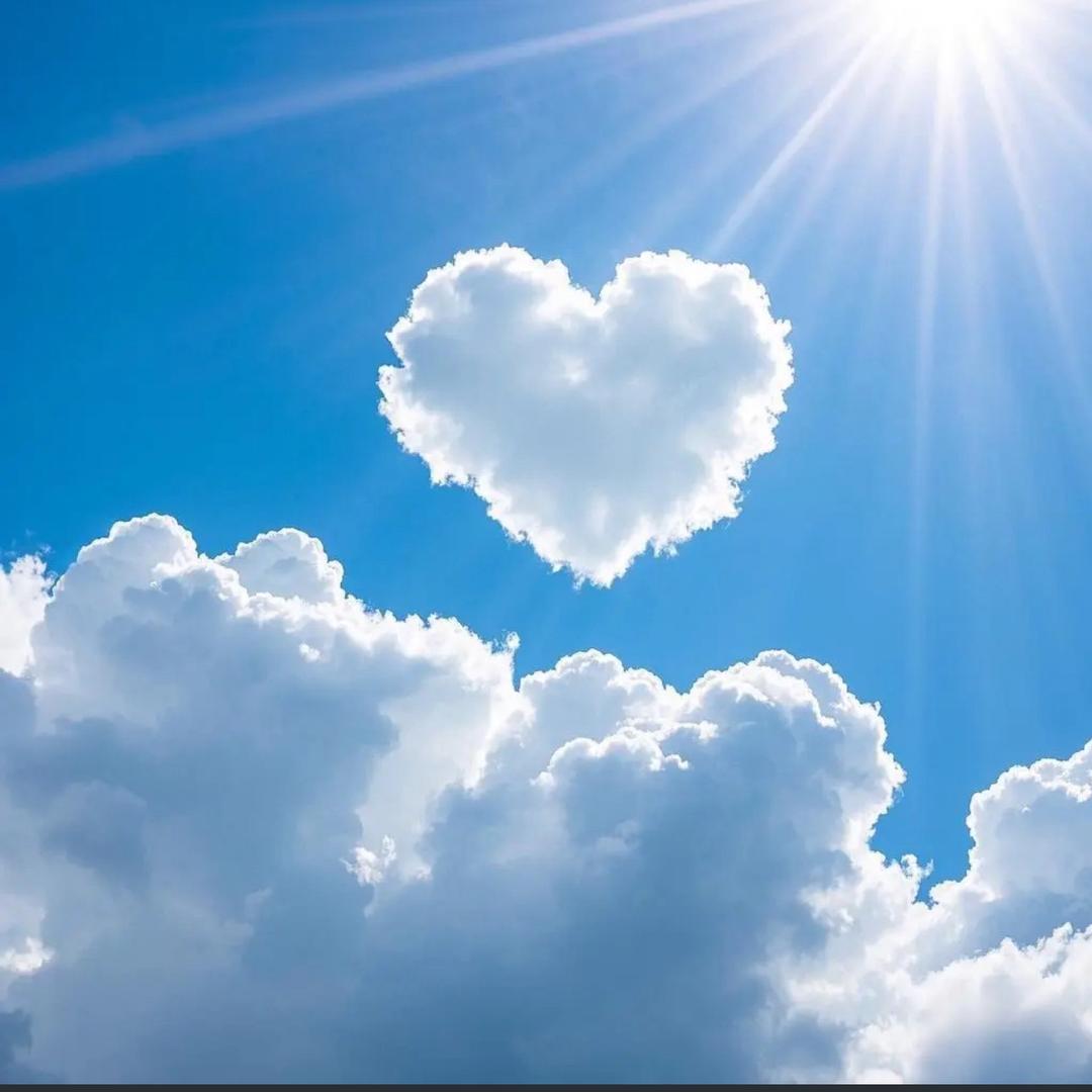 云朵⛅️上的梦