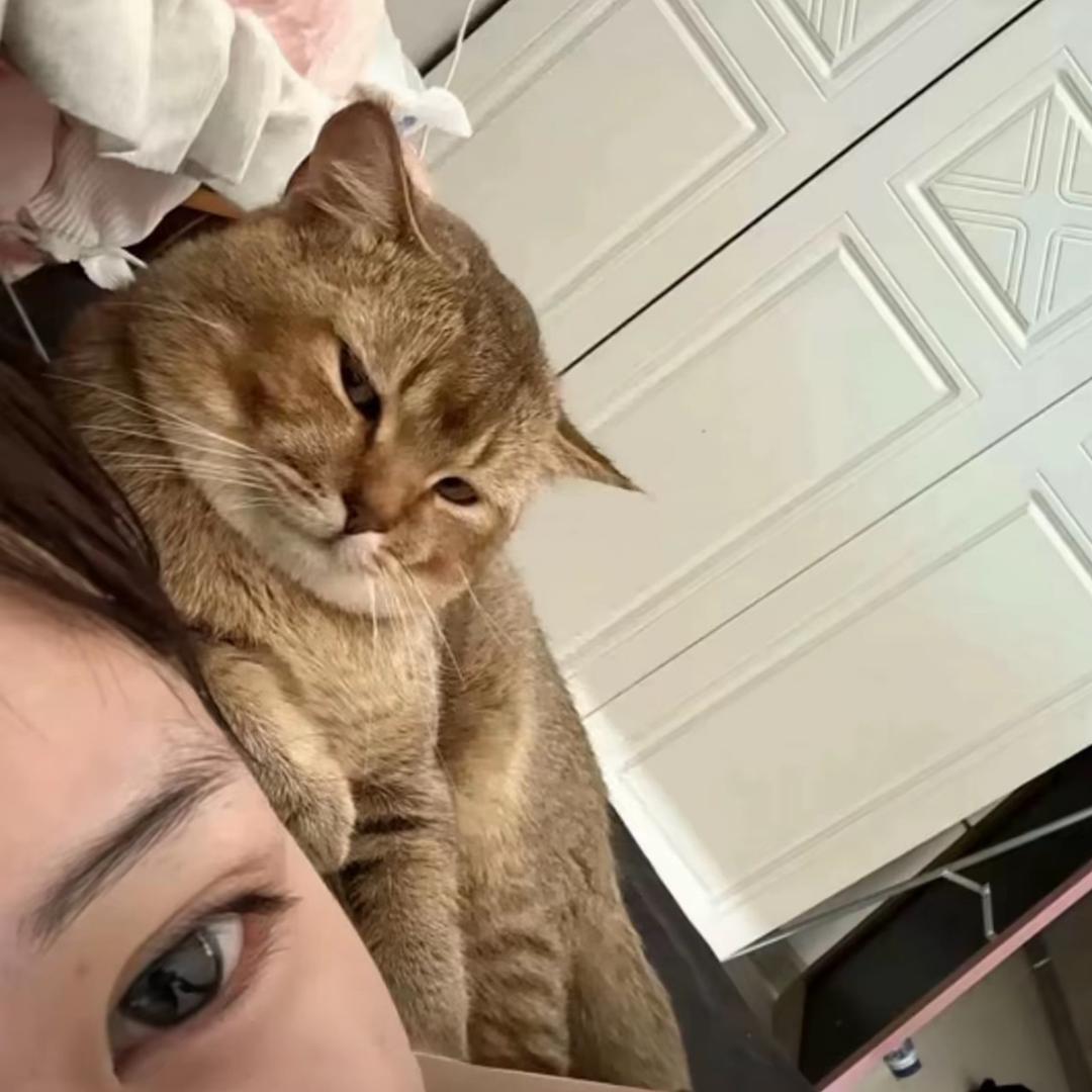 老公出轨被我打成骰子