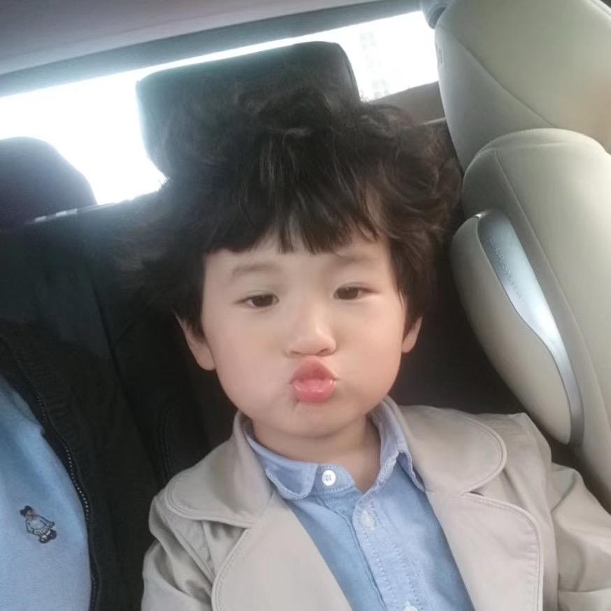 星星家的小卷毛