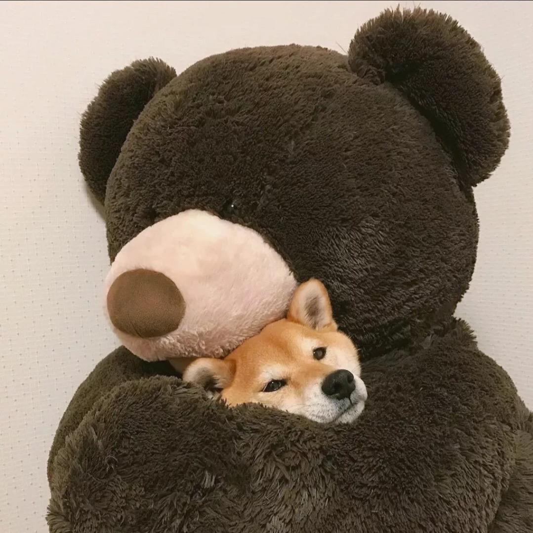 云端企业信息服务