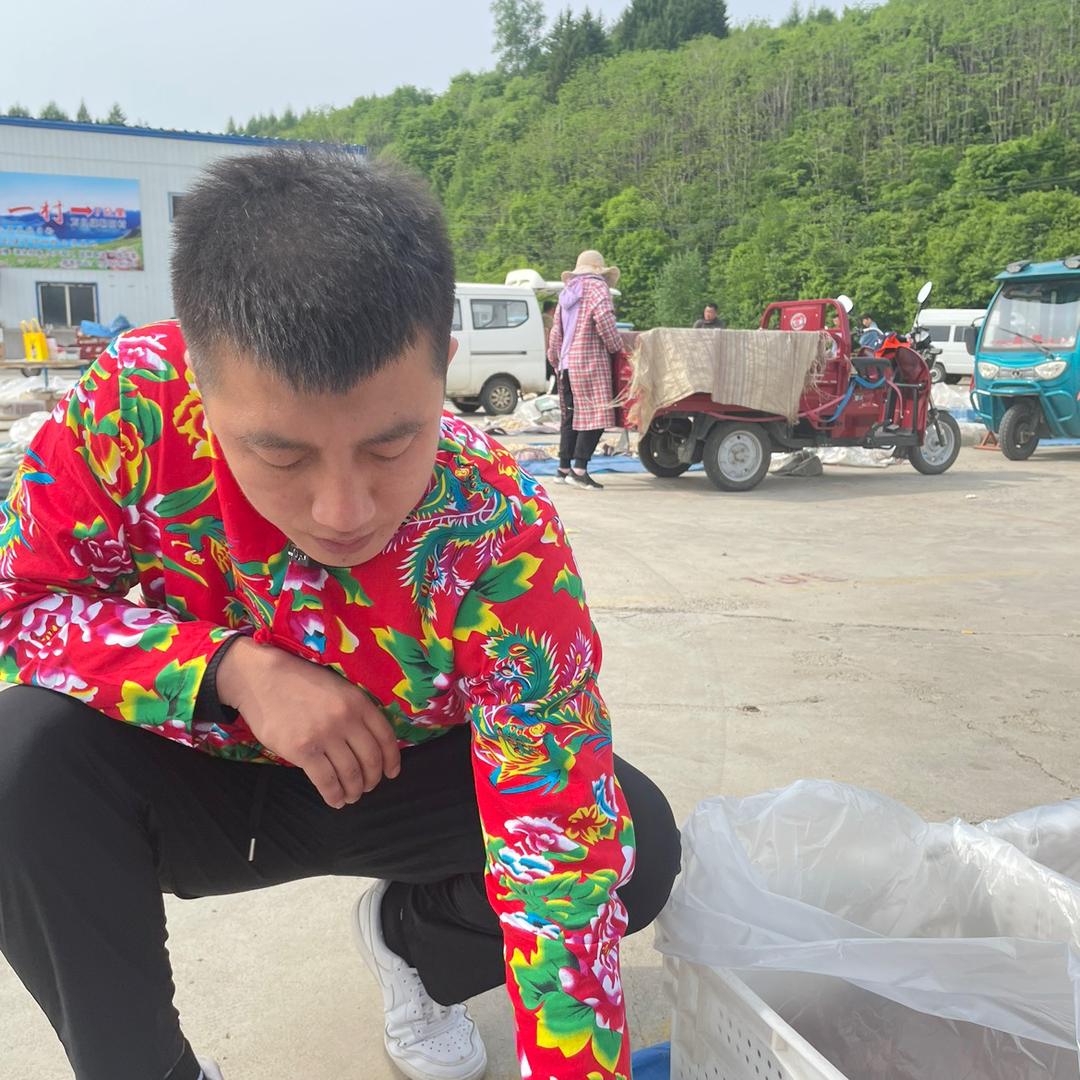 小黑哥补气血