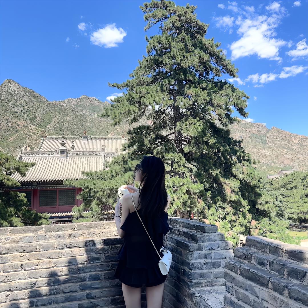 普通公主罢了👸🏼
