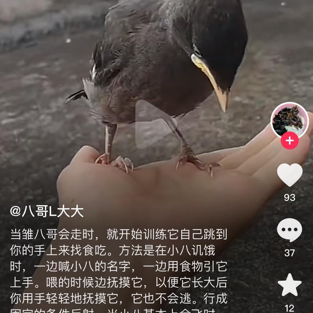 鱼情未了