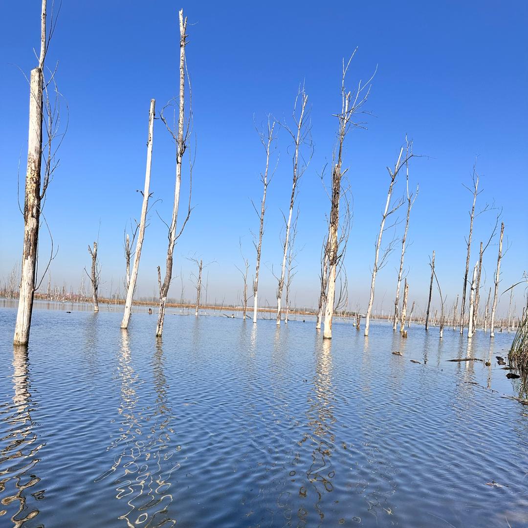 八荒魁钓鱼用品
