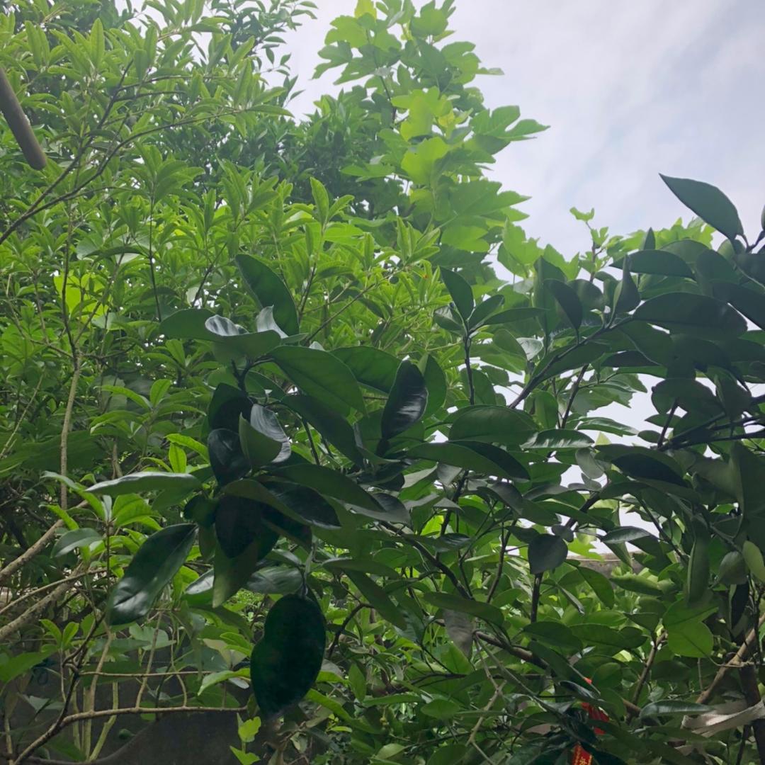 开心 快乐 过好自己的 每一天，一生平安