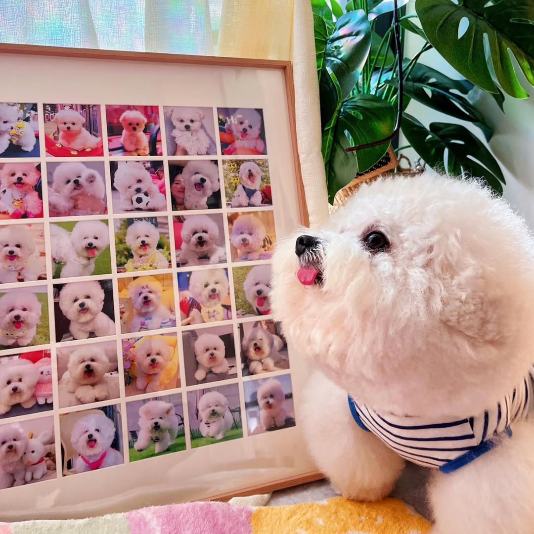 百万百货甄选阁