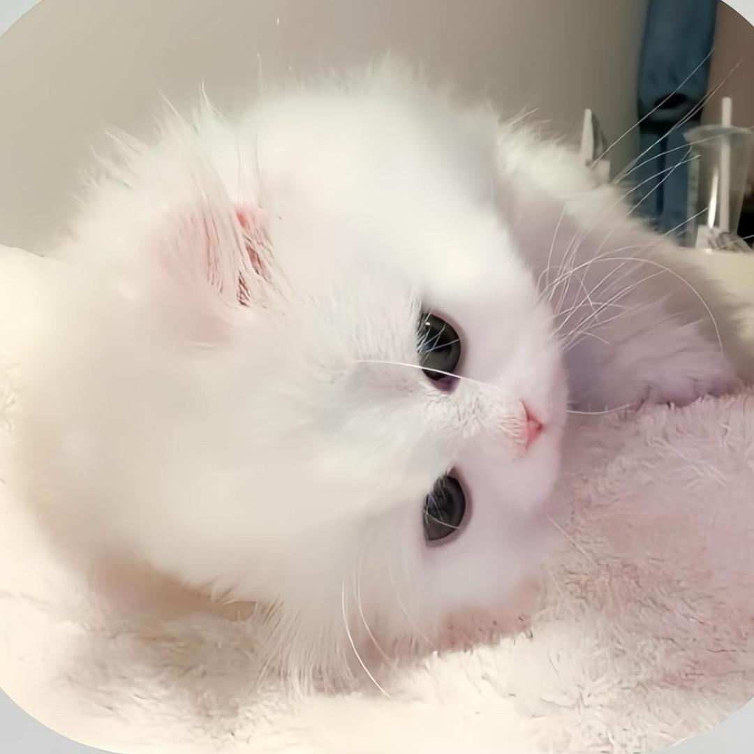 不开心就早睡