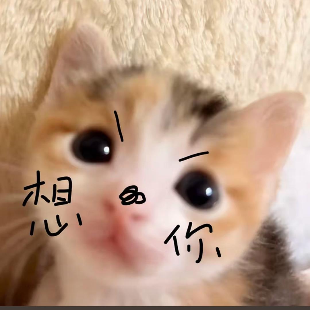 别管我啦啦啦啦