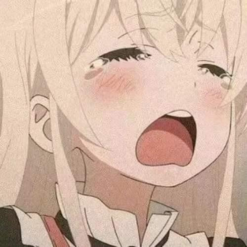 月野兔ovo