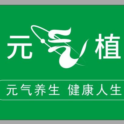 元气植安岳店