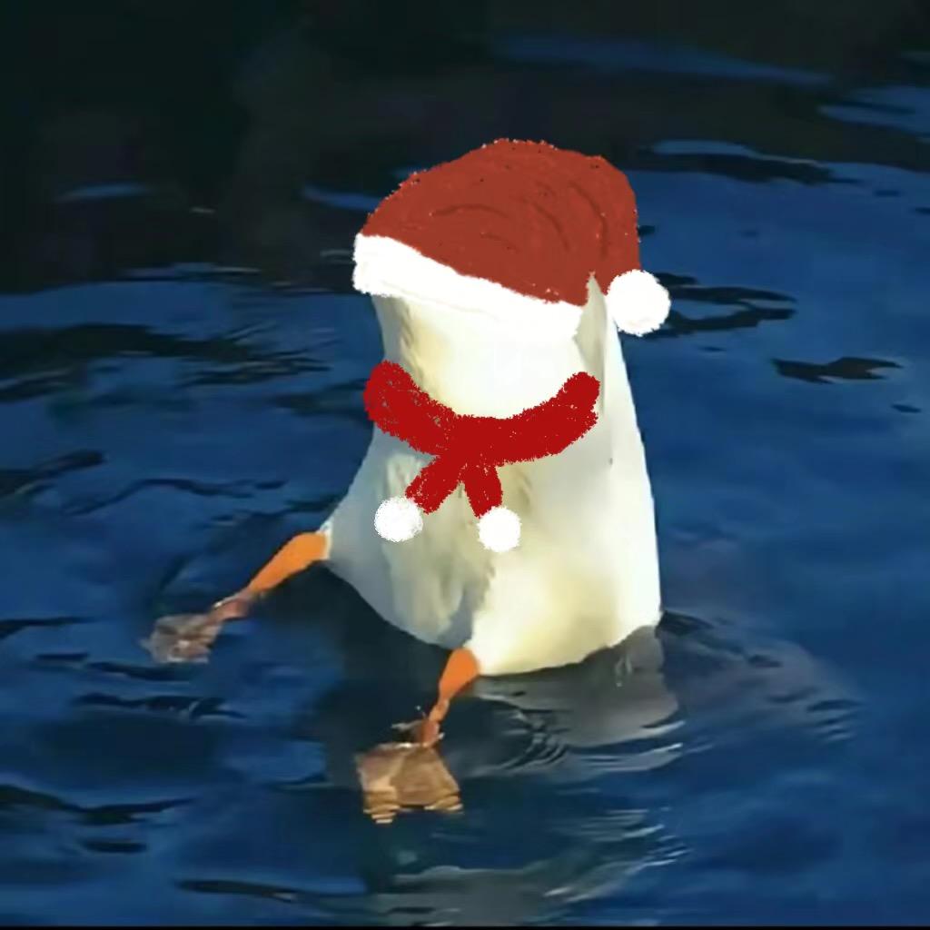 萧桉桉桉桉桉桉