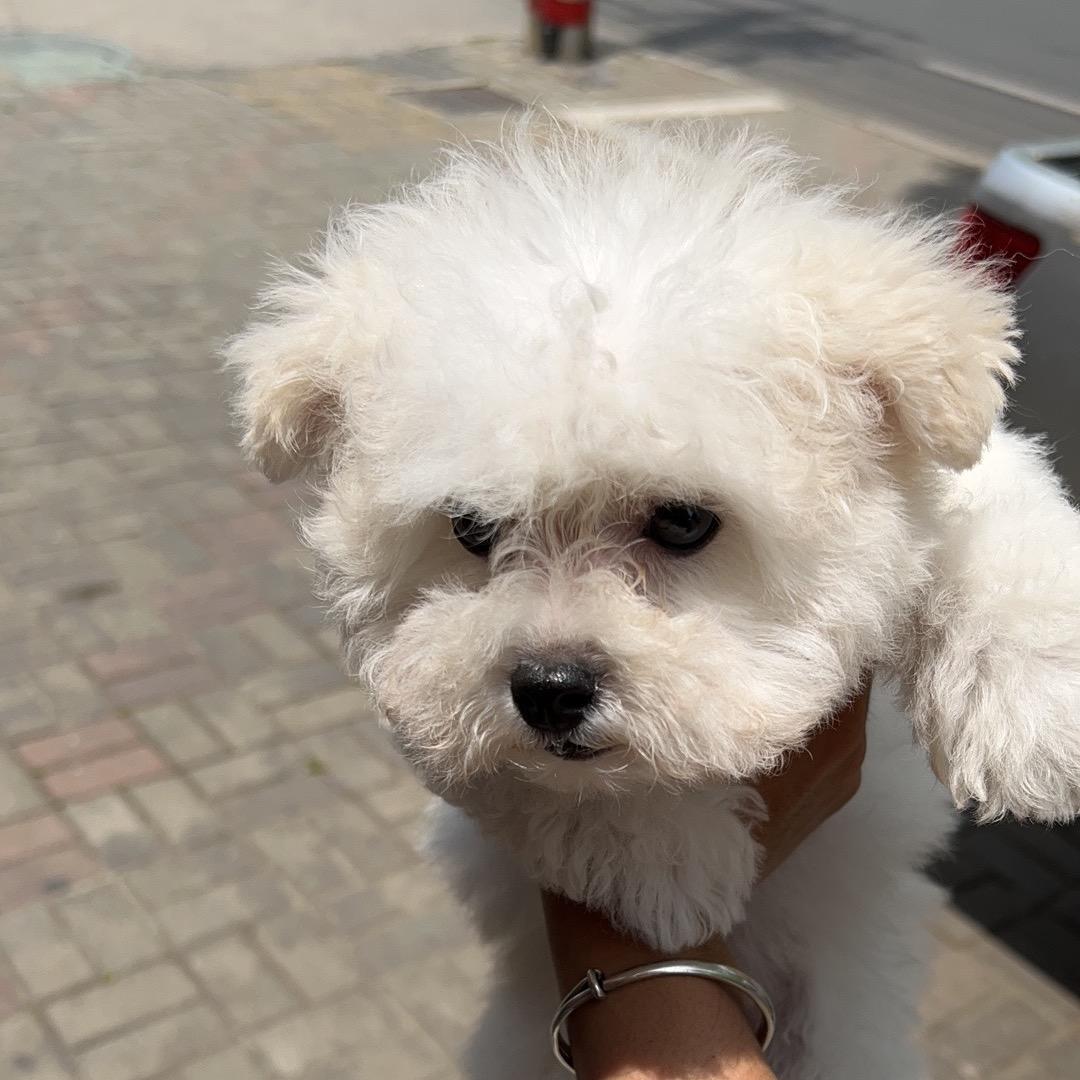晨了个晨