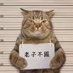 少年听歌