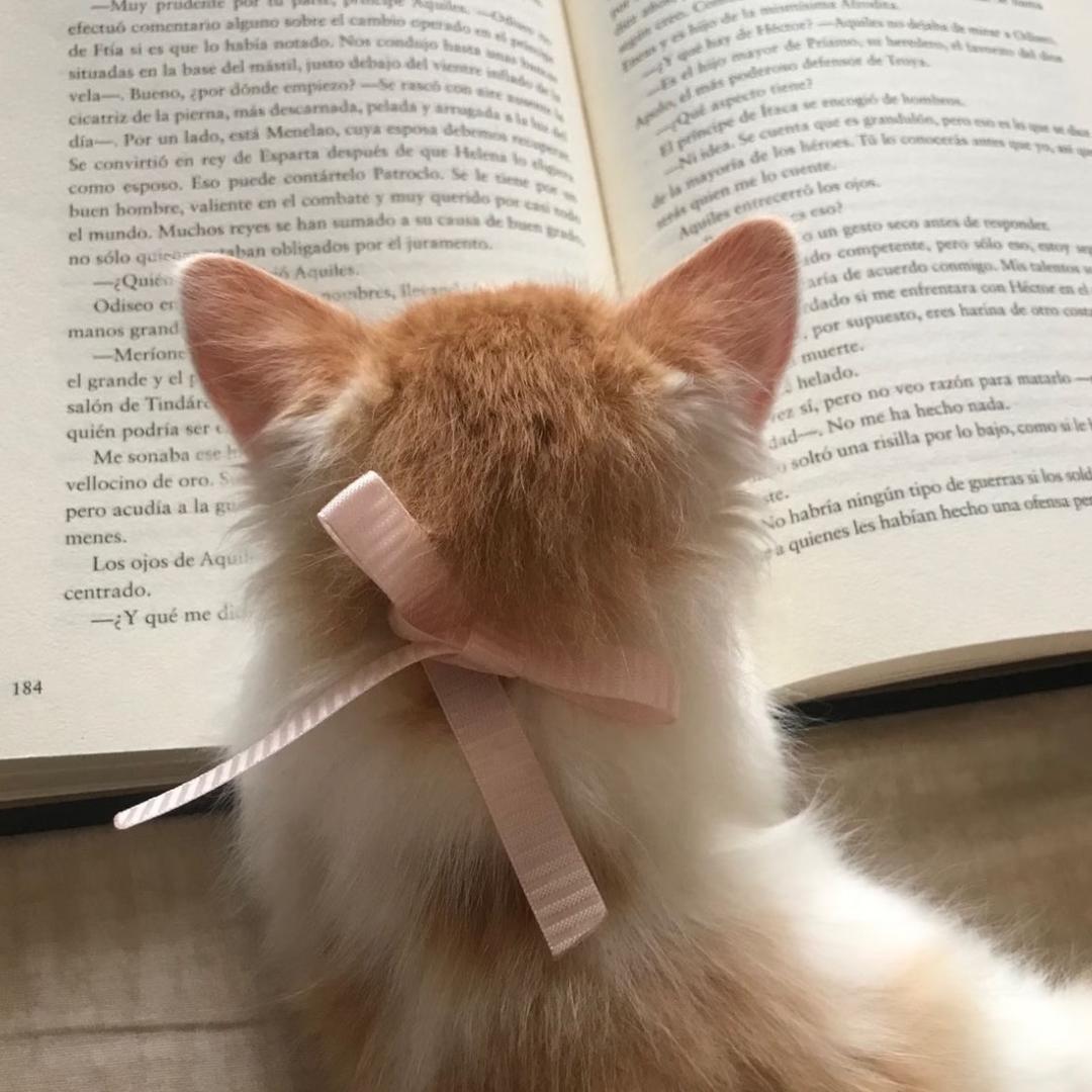 倦