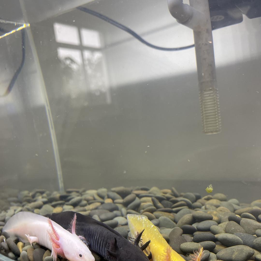 盛世优选生活馆