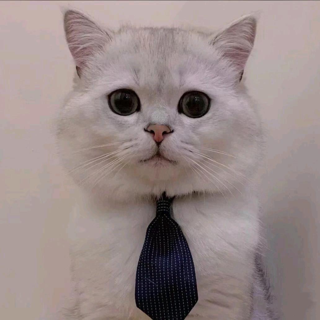 生活