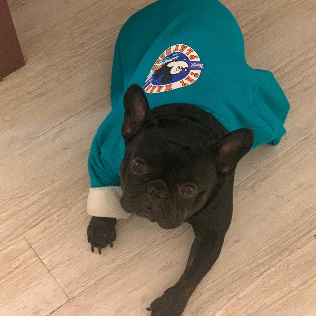 一伊妈🍓🍓🍓🍓