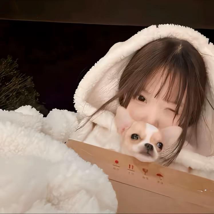 ㅤㅤㅤㅤㅤㅤㅤㅤ