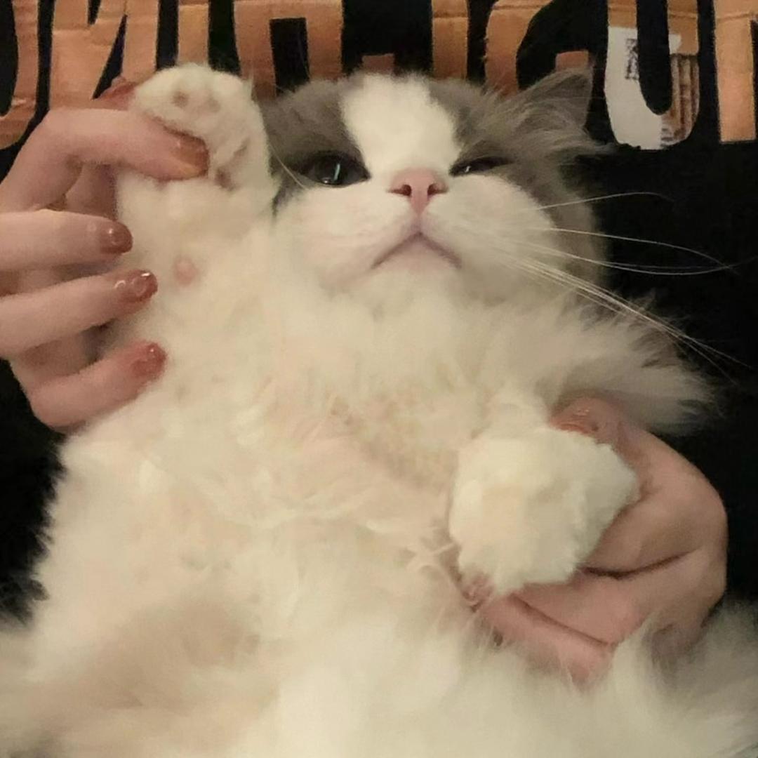 晚秋.