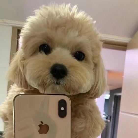 旺旺掀被