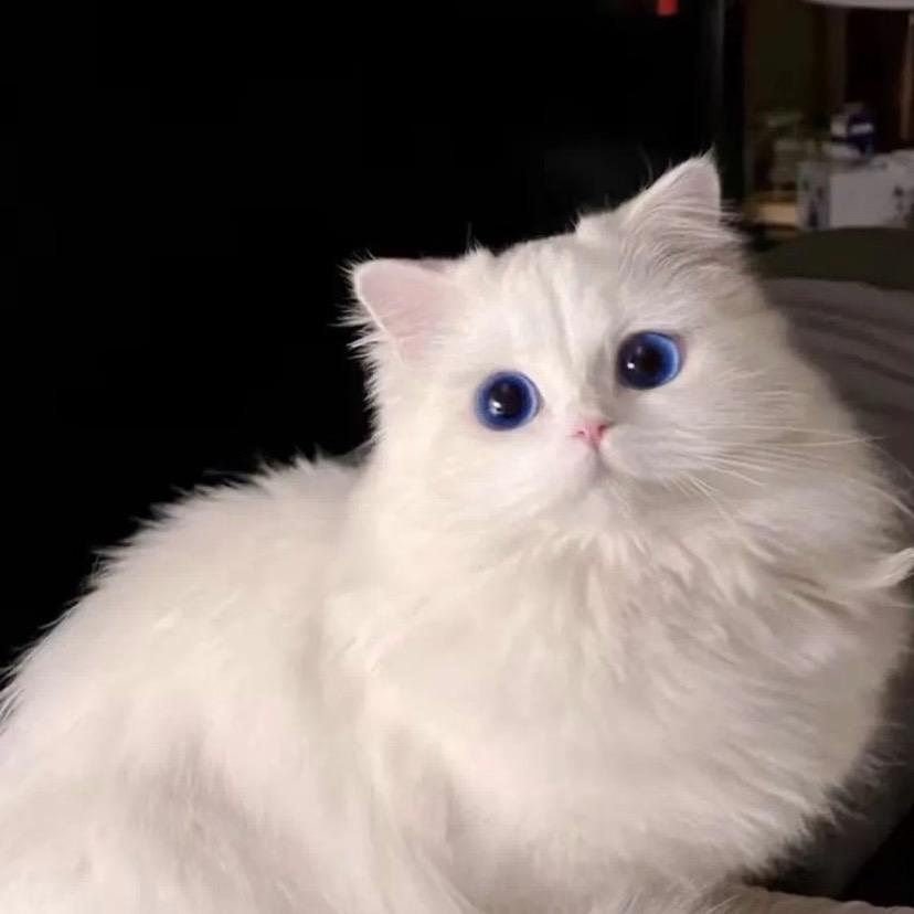 666