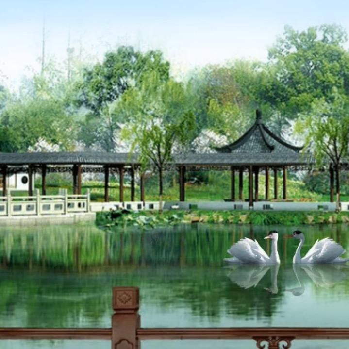 我是梦想，我们一起聊天吧